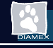 Diamex 