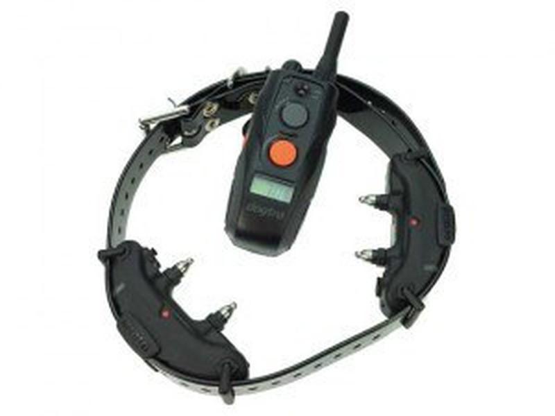 dogtra collar adiestramiento