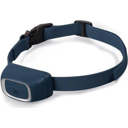 philosophy argument financial Collar antiladridos recargable para perros grandes Petsafe -La Tienda de MirandaOla philosophy argument financial Collar antiladridos recargable para perros grandes Petsafe -La Tienda de MirandaOla