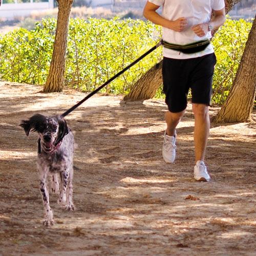 Cinturón de jogging económico para correr con perros